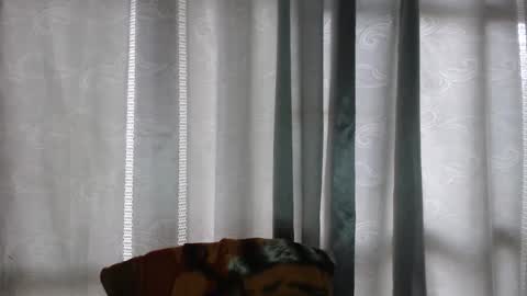 ARMANDO online show from 12-16-25, 05:07