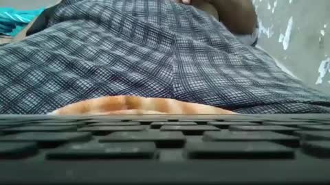 art_max99xxx online show from 01-11-25, 11:13