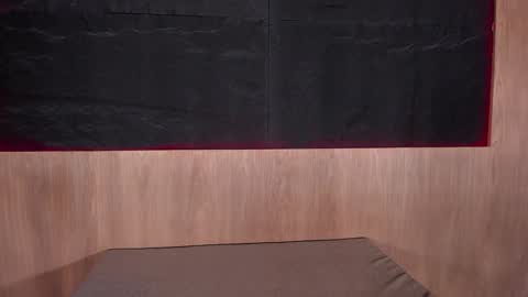 Snapshot of artemisablake chatting on 01-24-25, 03:55 artemisablake online show from 01-24-25, 03:55