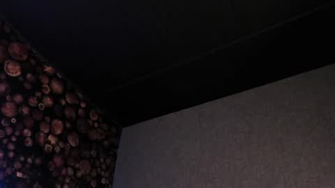 Snapshot of artemisablake chatting on 03-07-25, 08:00 artemisablake online show from 03-07-25, 08:00