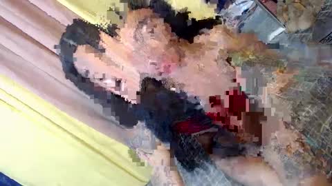 don online show from 01-30-25, 02:58