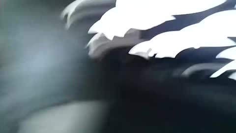 asiancreamy4u online show from 12-06-24, 04:58