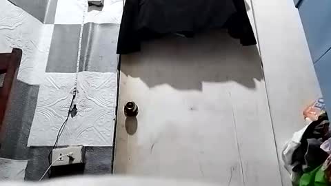 asiancreamy4u online show from 01-05-25, 02:19