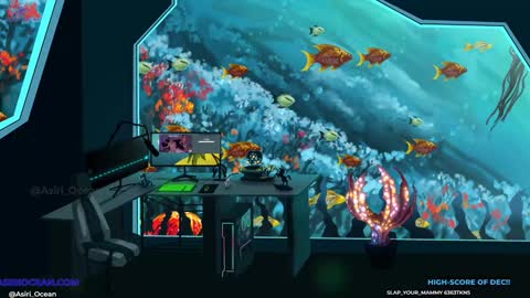 Asiri   pronounced Ah-siri Please no nicknames   3 online show from 12-19-24, 10:53