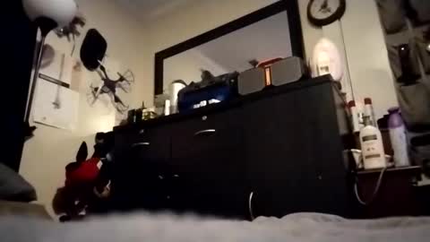 askme2shou online show from 11-27-25, 09:33