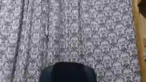 aslanne online show from 05-30-26, 09:45