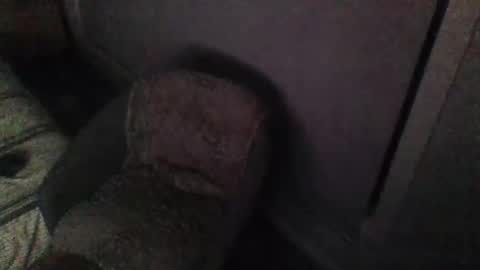 aszttz online show from 02-08-25, 02:27