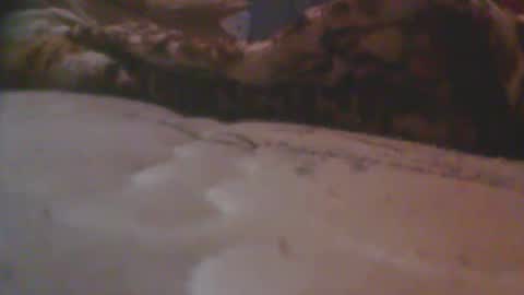 love spouse 768785628 online show from 05-18-26, 01:24