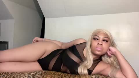 aunyxxx online show from 02-19-25, 05:49