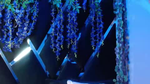 aurora online show from 09-18-25, 02:19