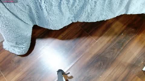 Aurora online show from 01-28-25, 12:32