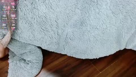 Aurora online show from 01-29-25, 12:45