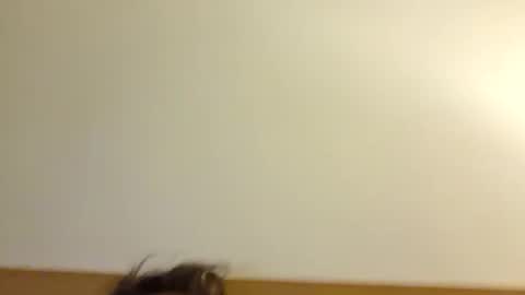 aussie_dadbod6969 online show from 05-03-26, 01:44