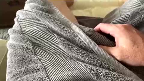 Snapshot of aussie_fatcock chatting on 04-05-26, 12:52 Aussie fatcock online show from 04-05-26, 12:52