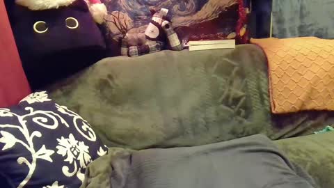 raven blue online show from 12-11-24, 05:48
