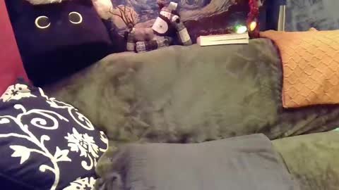 raven blue online show from 12-12-24, 05:42