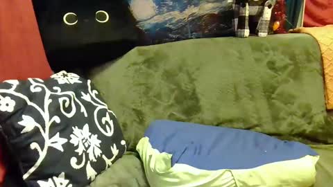 raven blue online show from 01-06-25, 11:29