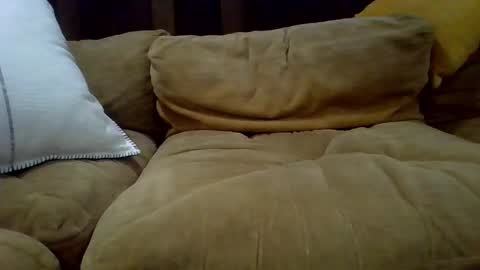 averagecock696969 online show from 02-23-25, 06:17