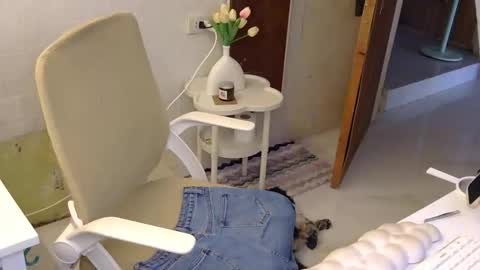 Rhian online show from 11-21-25, 03:05