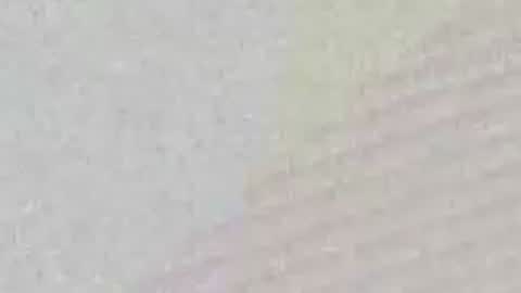 avgjoe555 online show from 06-29-26, 02:17