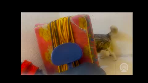 deliciosodemente online show from 02-04-26, 05:02