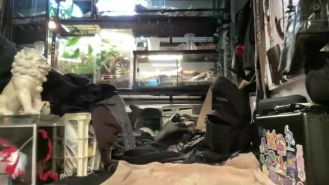 azntwink online show from 05-11-26, 10:40
