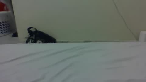 needoh online show from 03-27-26, 12:38