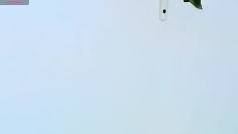  Dani  online show from 04-26-26, 03:37