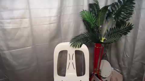 Snapshot of babynexy69 chatting on 10-09-25, 02:53 Nexie online show from 10-09-25, 02:53