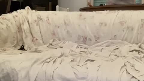 Snapshot of bach77 chatting on 02-12-25, 04:44 bach online show from 02-12-25, 04:44