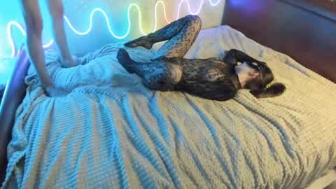 bada_b1ng online show from 12-07-24, 02:35