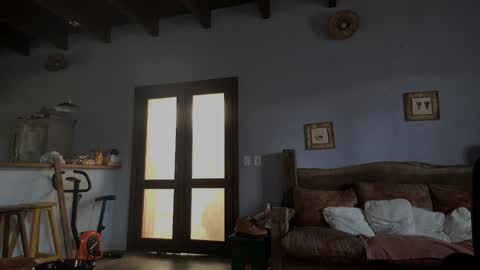 Baddaddybrazil online show from 01-01-25, 06:38