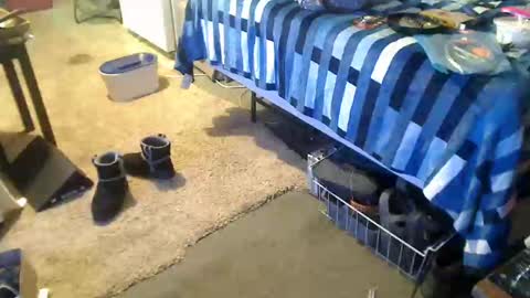 StillPoPimpin online show from 12-27-24, 04:36