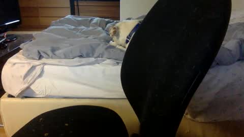 bahn92 online show from 03-11-26, 06:30