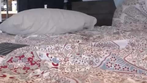 baker305 online show from 09-29-25, 04:17