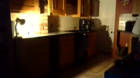 Ballet Bear online show from 11-02-25, 07:27