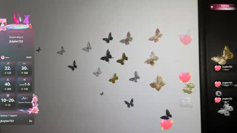 Barb online show from 05-05-26, 09:01