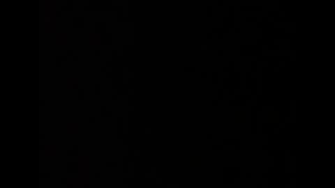 barbarosarslanlar online show from 09-20-25, 12:06