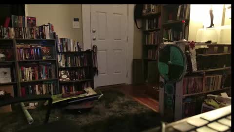 Wraith online show from 02-22-26, 05:30