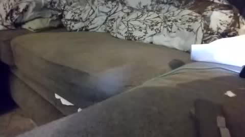 barrett4200 online show from 01-20-25, 12:15