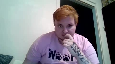 BartTheBear online show from 02-09-26, 07:51