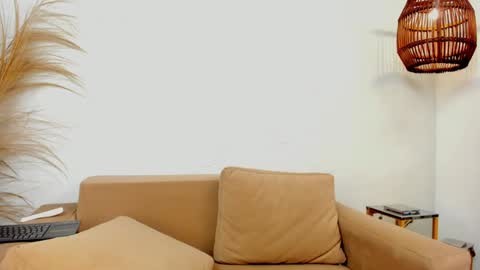 Snapshot of bastianrivas chatting on 01-20-25, 02:57 Bastian. online show from 01-20-25, 02:57