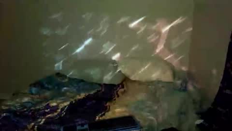 Snapshot of bathtimeboii chatting on 01-11-26, 04:06 bathtimeboii online show from 01-11-26, 04:06