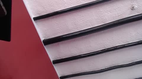 bayonette_black online show from 12-02-24, 11:34