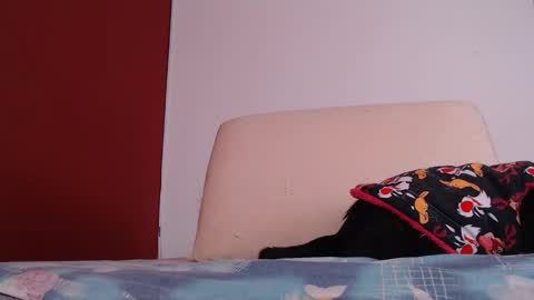 bayonette_black online show from 09-26-25, 12:09