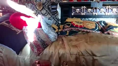 Bazza online show from 11-01-25, 07:32