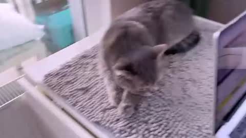 Snapshot of bb_lourels_ chatting on 06-14-26, 05:48 Lourel I will be here on and online show from 06-14-26, 05:48