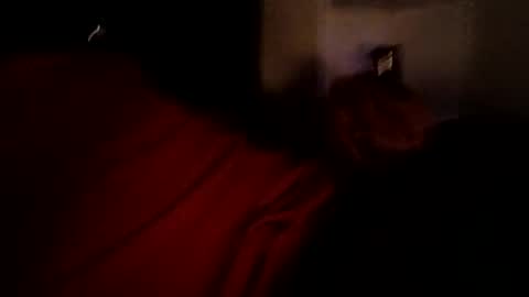 bbetoven online show from 10-27-25, 06:50