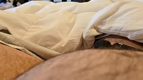 bbjj1970 online show from 11-29-25, 12:19