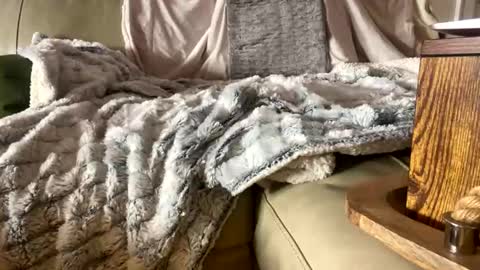 Snapshot of beachymilf chatting on 11-01-25, 05:26 BeachyMILF online show from 11-01-25, 05:26